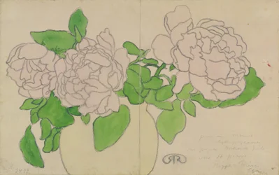 Krysantemum, ca. 1900
